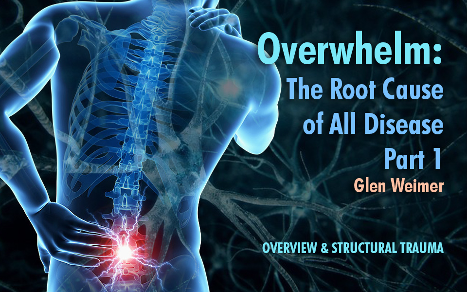 Overwhelm Blog Part 1