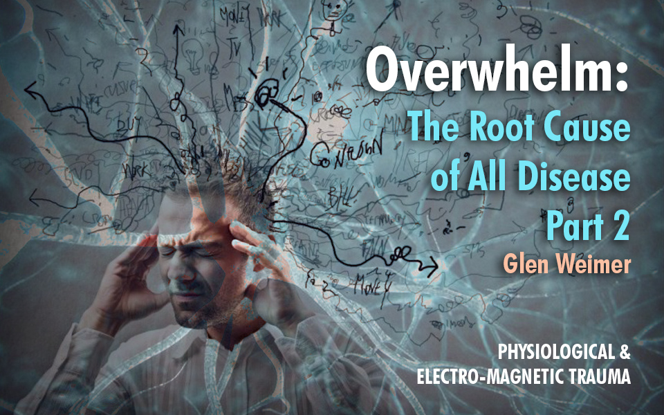 Overwhelm Blog part 2